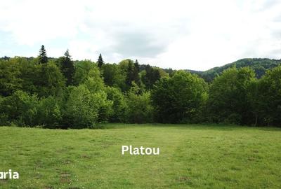 Teren de 4000 mp, în Babarunca - 5