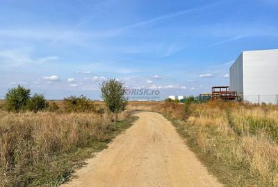 TEREN Dezv Logistica 2500mp posib extindere Centura CHITILA Rudeni - 3