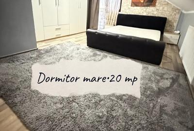 Direct proprietar, 5 camere, casa individuala mare unfamiliara + spatiu business, 10 km de Timisoara - 3