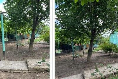 Casă cu 3 camere cu Teren 1481 Mp în Mogoșești - 6