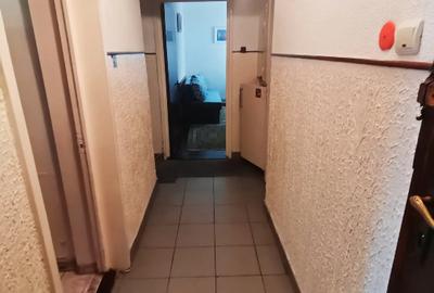 Apartament cu 3 camere decomandat în Silva - 5