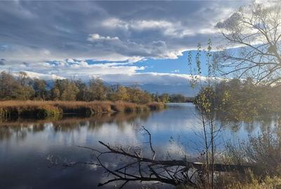 Ocazie!Oaza de liniste in satul Colun,cu 572mp ,la 40km de Sibiu Ocazie!Oaza de liniste in satul Colun,cu 572mp ,la 40km de Sibiu - 37