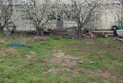 Vand casa noua in Chiscani - 7