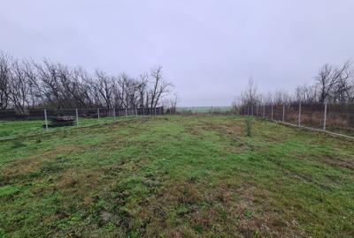 Hala pretabila depozitare/productie - 13