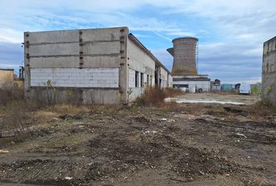 Hale de vanzare cu o suprafata totala de 5440 mp - 5