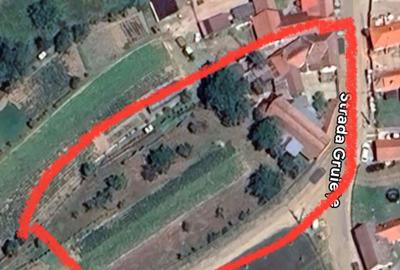 Casă cu 5 camere cu Teren 2700 Mp în Pianu - 16
