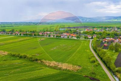 Teren agricol extravilan de 10000 mp, în Prejmer - 8