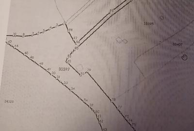 Casa + teren in Sarisorul Mare la 15km de Vatra Dornei - 4