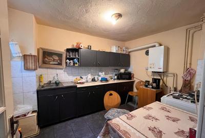 Lugoj, Casa 143 Mp, Total Teren 800 Mp., Str. Timisului - 2