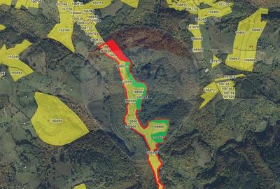 Oportunitate de investitie ! Teren de vis in Pestera - ... - 2