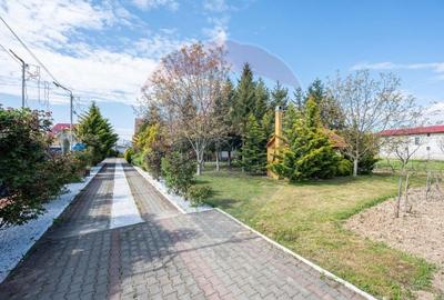 Casă / Vilă cu 16 camere de vânzare Sanmartin/Stefan cel Mare - 1