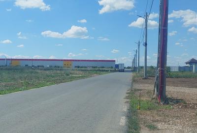 Teren de vanzare 1245mp - 6
