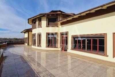 VANZARE VILA | HALA IN VLADICEASCA | SNAGOV | 10.500 MP TEREN - 3