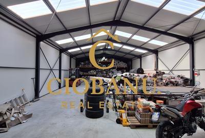 Hala de vanzare in Racari de Jos - 11