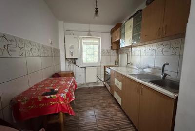 Apartament cu 2 camere Tudor Vladimirescu - 6