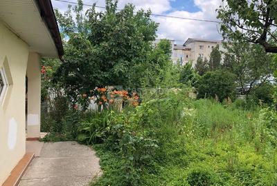 Dancu - la strada, locuinta pe parter, 1000mp teren, pretabila locuit / birouri - 10