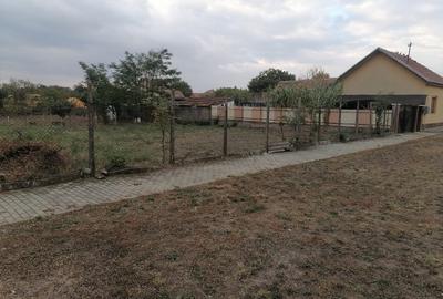 Loc de casă - 1
