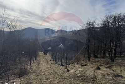 Teren de 1271 mp, în Livezile - 8