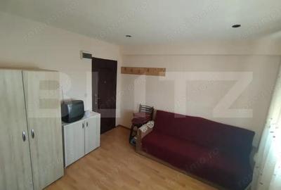 Garsonieră semidecomandată, mobilată în Calea Severinului