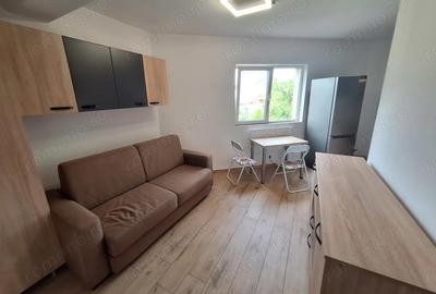 210 euro!!!Ap 1 camera Et 1 Zona Bogdanestilor - 2