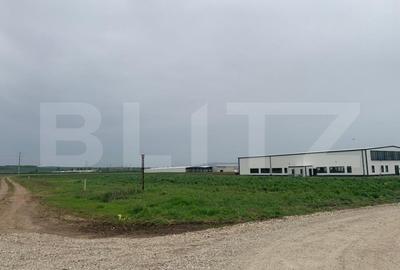 Teren intravilan, 6759 cu PUZ pentru hala, zona Alba-Sebes langa A1 - 3