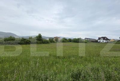 Teren intravilan, 48,3 ari zona Valea Rusului, - 4