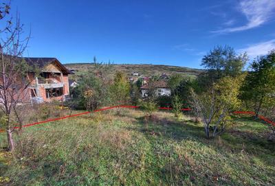 Dorobanti, Aroneanu, 550mp teren intravilan + 125mp cale acces - 3