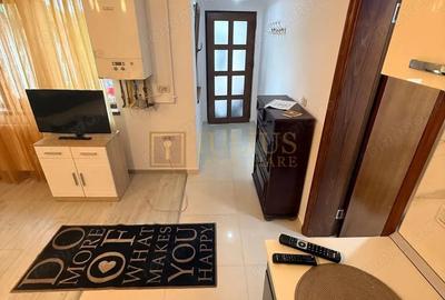 Apartament cu 2 camere semidecomandat în Mehala - 11