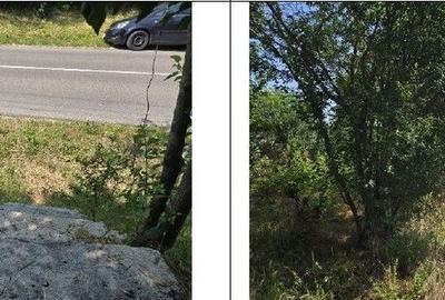 Casa si teren Cucuruzu, ID: R2609648 - 7