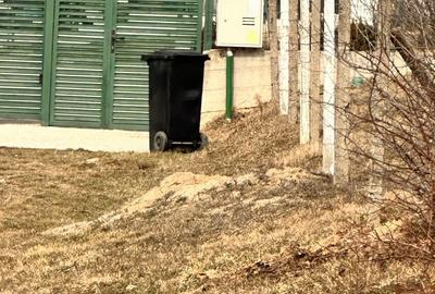 Teren de 500 mp, în Bucium - 6