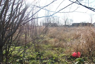 Casă cu 3 camere în Jilavele - 2