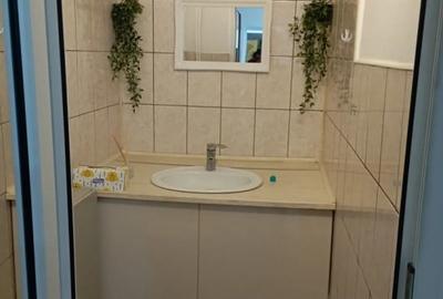Spatiu Comercial 50 mp Florilor - 4