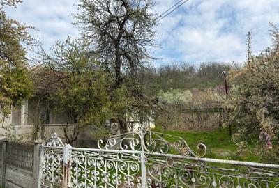 Casă cu 3 camere în Văgiulești - 4