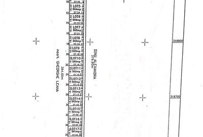 Teren de 530 mp, în Clinceni - 3