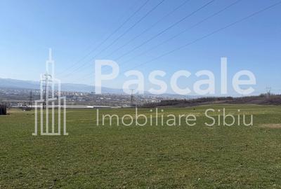 Teren de 2000 mp, în Roșia - 3