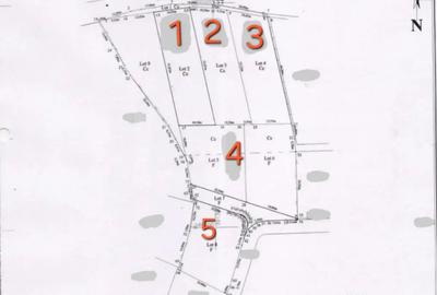 Teren de 845 mp, în Făget - 4
