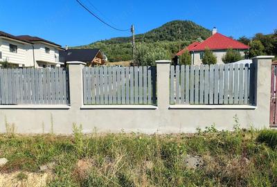 Casă cu 3 camere în Central