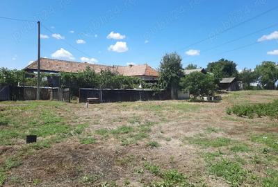 Casă cu 4 camere cu Teren 5131 Mp în Români - 4