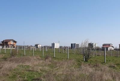 Veterani / 500 mp - 5