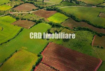 La intrare in loc. Carbunari (12 km) teren intravilan, 4 parcele alaturate - 1