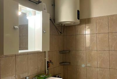 Inchiriere apartament 2 camere decomandate in zona Teiul Doamnei-Colentina - 13
