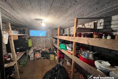 Casa, singur in curte, cartier Bulgaria, zona strazii Plevnei - 17