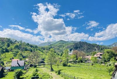 Spațiu comercial, în Alba - 4