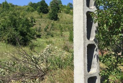 Teren de 4364 mp, în Șerpeni - 1
