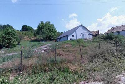 Casa + Teren 4000 mp ~ Idicel Padure - 1