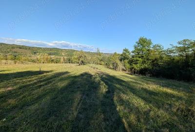 Casa ?araneasca cu livada ?i gradina mare,Vata de jos,Hunedoara - 1