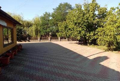 Vand casa pensiune cu helesteu aproape de Timisoara-locatie excelenta! - 5