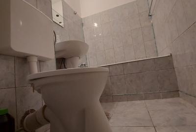 Garsonieră, mobilată în Apărătorii Patriei - 7