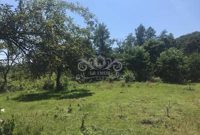 Teren cu livada de vanzare in Albesti de Muscel - 3
