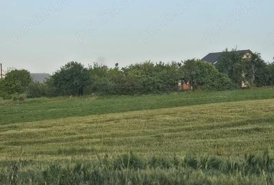 Teren de 11860 mp, în Călugăreni - 7